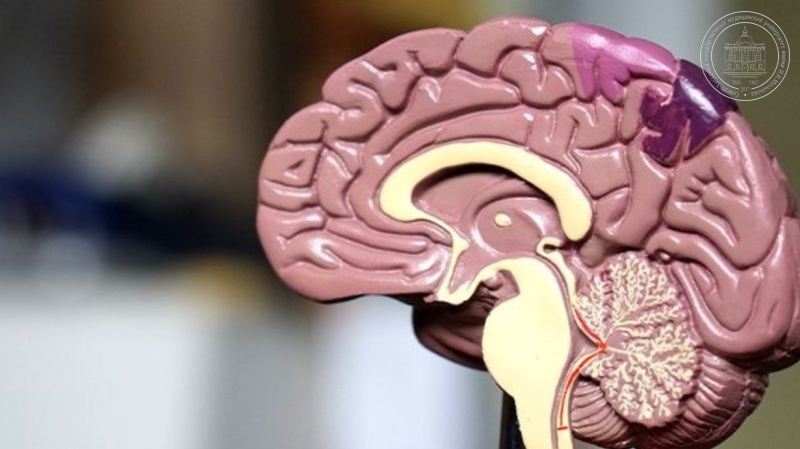 Научно-практическая конференция с международным участием «Актуальные ...